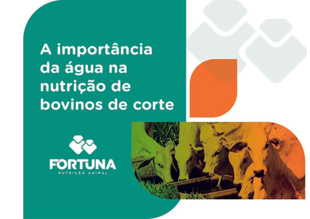 Infográfico - Importância da água na Nutrição de Bovinos de Corte