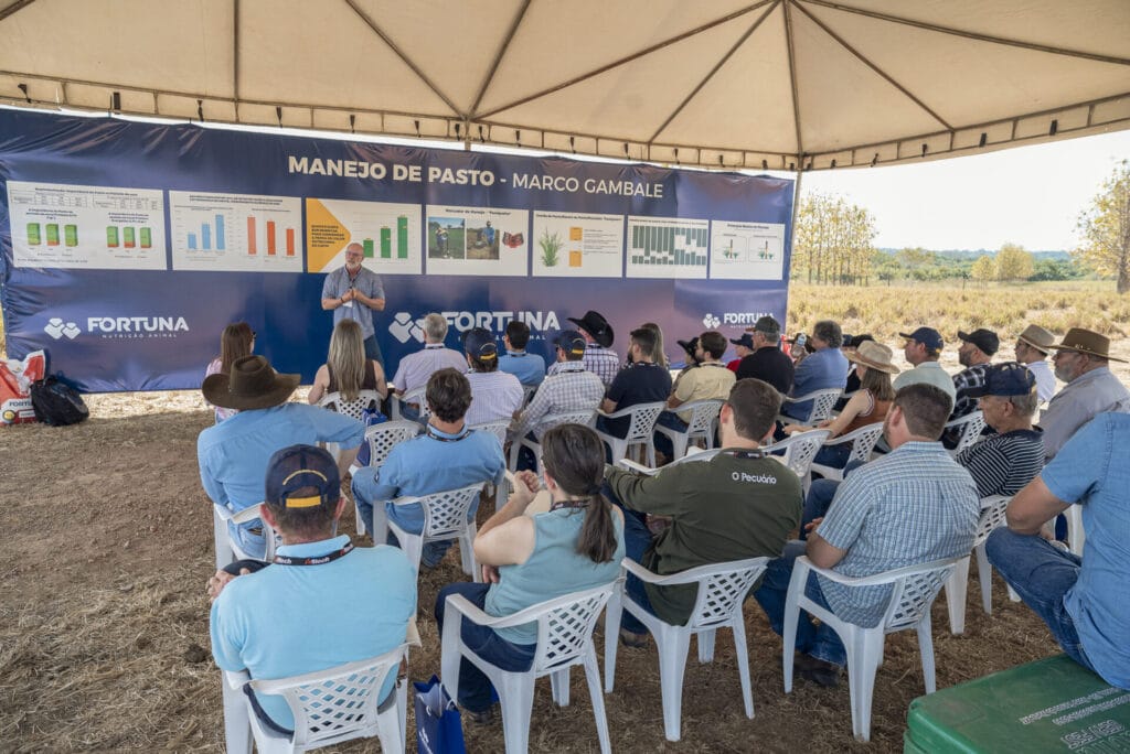 Cópia de CLZ_1954-50