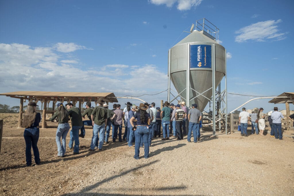 Cópia de CLZ_2110-203