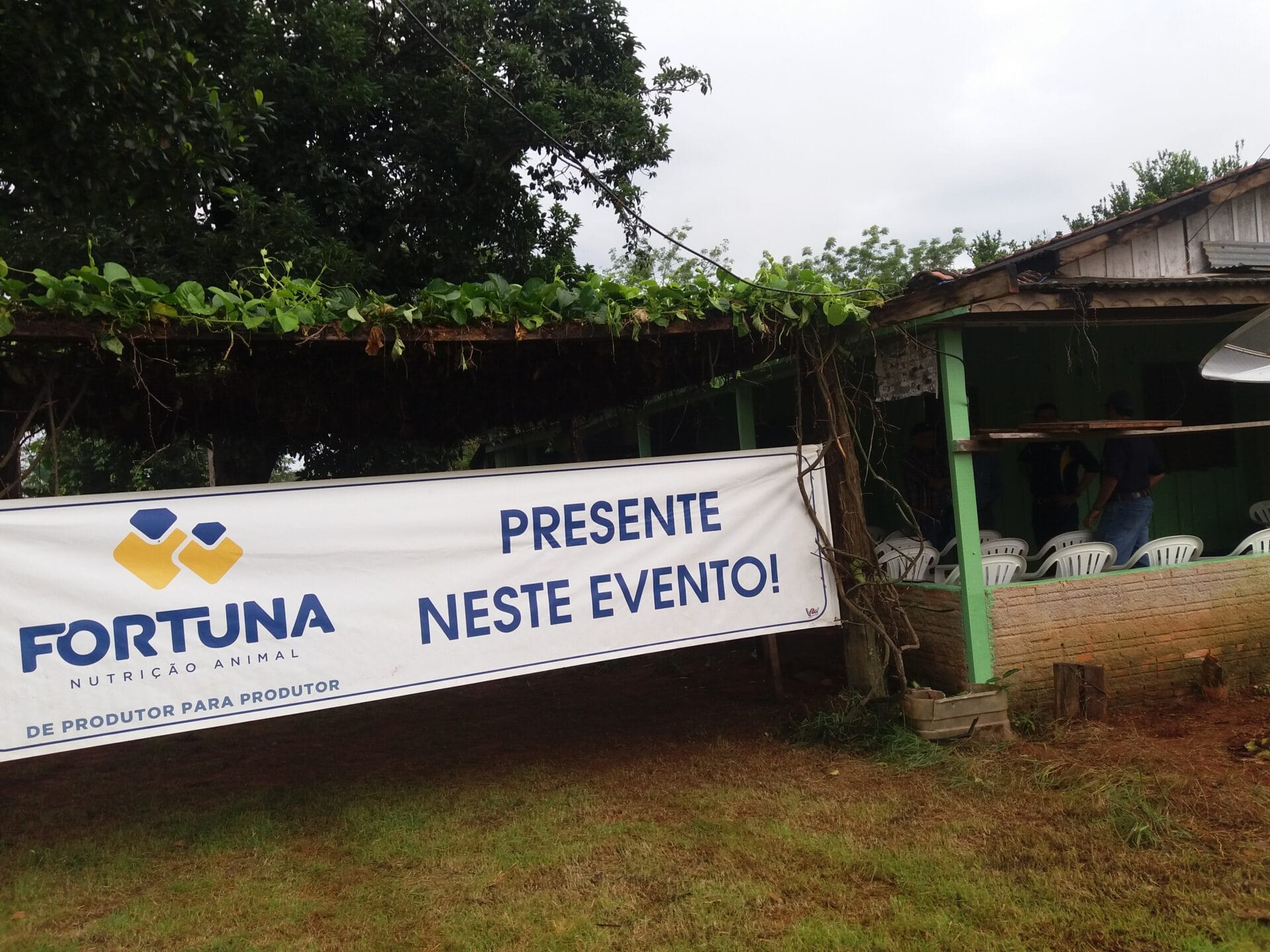 Cópia de 20190406_081331